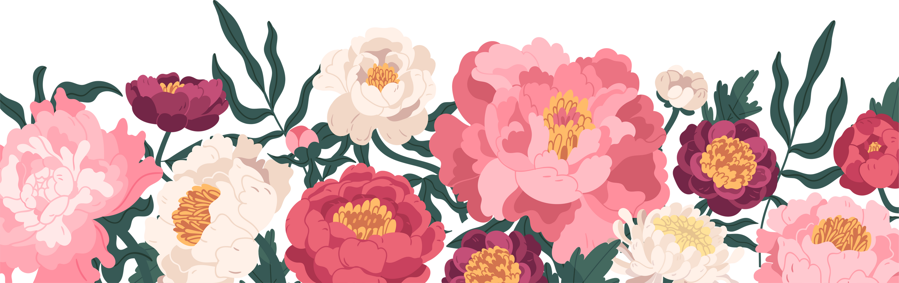 Horizontal floral backdrop with border of delicate blossomed spring peonies flowers. Botanical flat vector illustration.